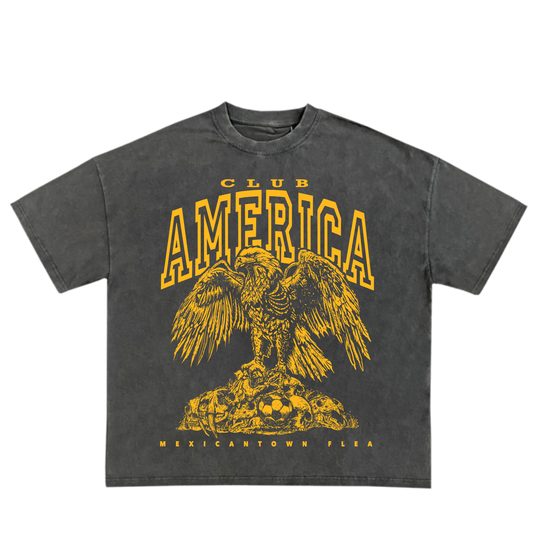 AME 16x Champions T-shirt - Vintage